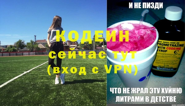 гидра Вяземский