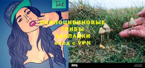 гидра Вяземский