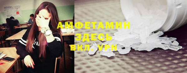 гидра Вяземский