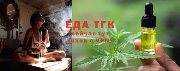 гидра Вяземский