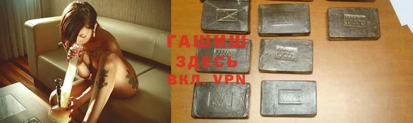 гидра Вяземский