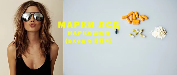 гидра Вяземский