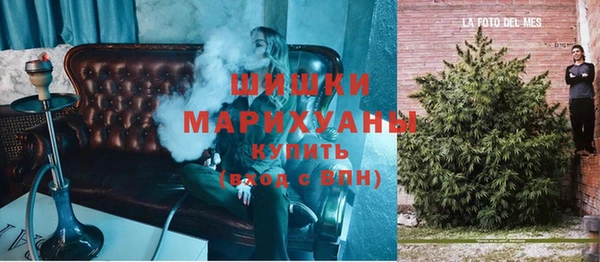 гидра Вяземский