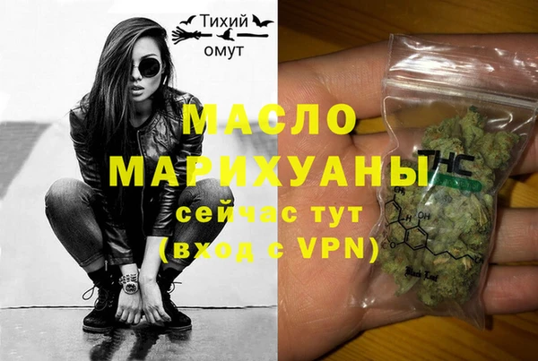 гидра Вяземский