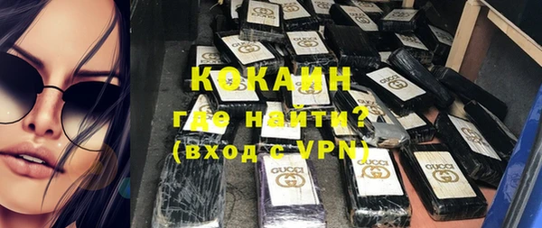 гидра Вяземский