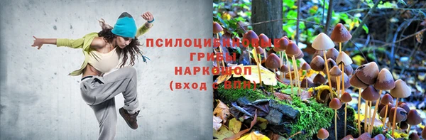 jwh Вязьма
