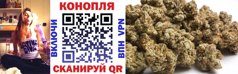 Конопля индика Лесной